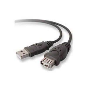 CORDON RALLONGE USB AA M/F 2M